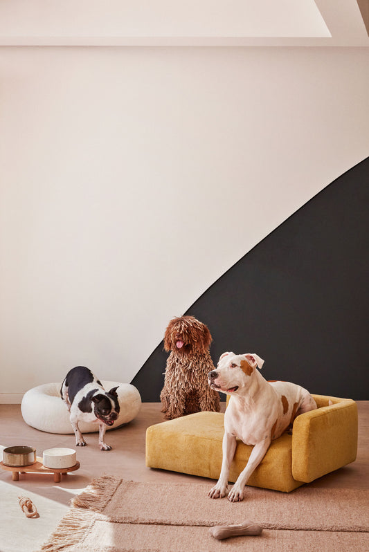 Housse pour petit panier pour animaux Bowie moutarde 63 x 80 cm