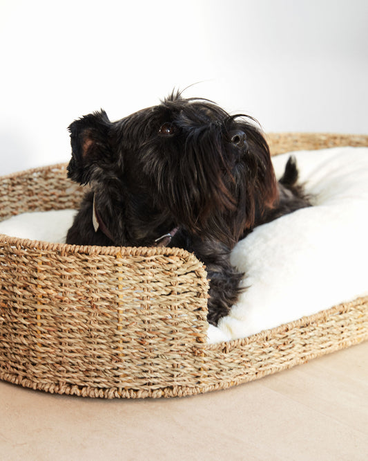 Coussin pour animaux Codie transportable effet fourrure blanche Ø 80 x 10 cm