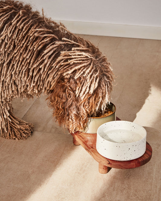 Lot de 2 gamelles pour chien ou chat Dumbi blanc et marron Ø 14 cm