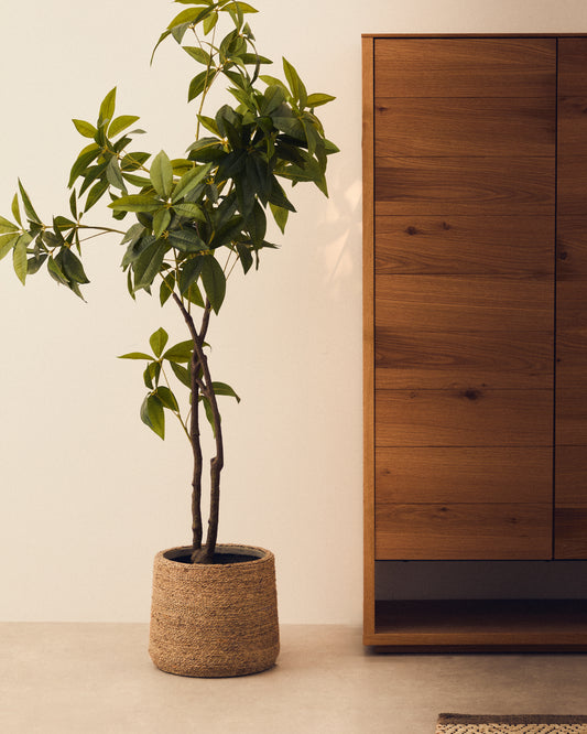 Pachira artificiel avec pot noir 180 cm