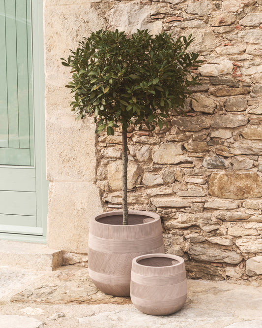 Ensemble Tival de 2 cache-pots effet ciment beige Ø 50 cm/Ø 34 cm