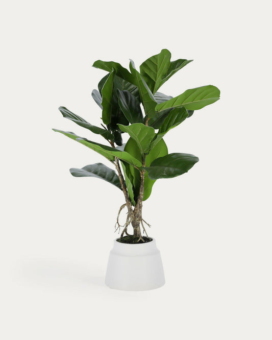 Plante artificielle Lyrata de 60 cm