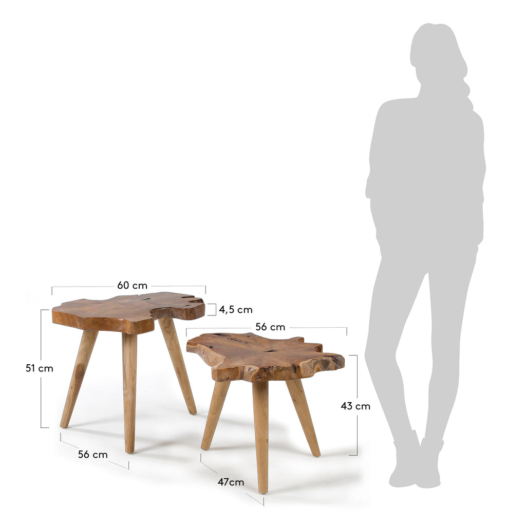 Lot de 2 tables d'appoint Hattie en teck 60 cm / 56 cm