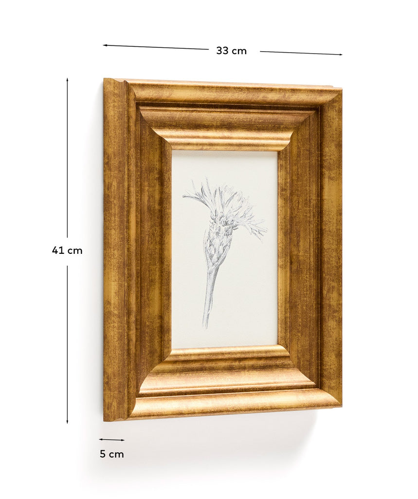 Tableau Yalira illustration botanique 33 x 41 cm