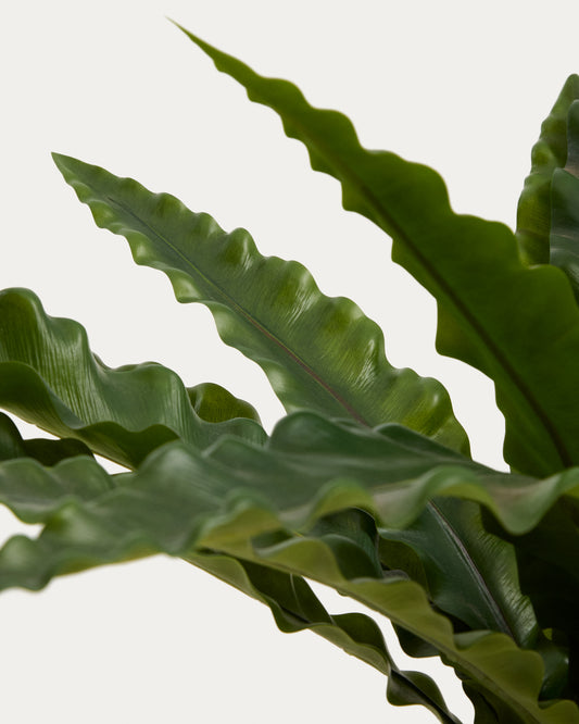 Plante artificielle Neottopteris avec pot blanc 70 cm