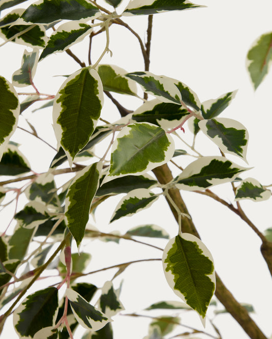 Arbre artificiel Ficus Benjamina avec pot noir 180 cm