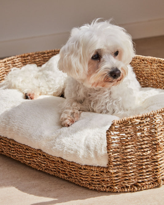 Coussin pour animaux Codie transportable effet fourrure blanche Ø 60 x 10 cm