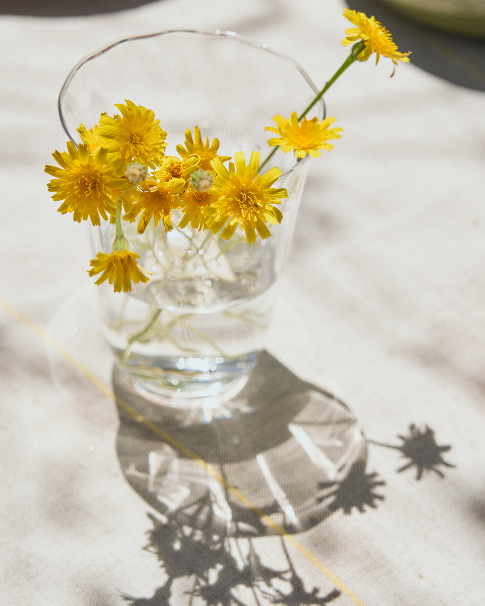 Verre Neia en verre transparent 23 cl